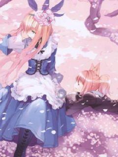 秘宝猎人